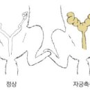 최동물병원 이미지