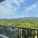 한화리조트 경주 담톤 디럭스 모던 호텔형 내돈내산 , 한화리조트 조식 후기