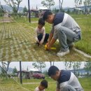 삼락오토캠핑장 이미지