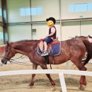 도담 유치원 이미지