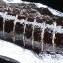 정김밥 이미지