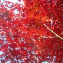 경기도율곡교육연수원 이미지