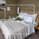카프리모텔 | 유럽 오스트리아 빈 4인 조식 포함 숙소 추천 다스카프리 Henriette Stadthotel Vienna