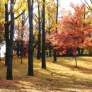 동물식물 생태체험교실 이미지