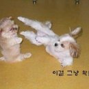 해나래