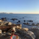 GS25 울진봉평점 이미지