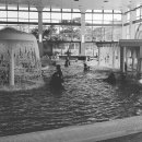 애니카랜드 계산점 이미지