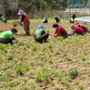 석포면사무소 이미지