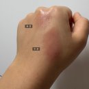 모브(MAUVE) | 시에로 다마스크 멜로즈 플럼퍼 01 모브(MAUVE) 내돈내산 후기