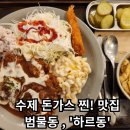하르동 | [하르동] - 대구 수성구 범물동 경양식 수제돈가스 찐!맛집 / 내돈내산후기