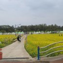 안흥초등학교 이미지