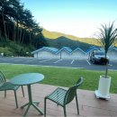 새재리아 이미지