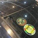 비디테일 이미지