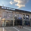 엘레펀트 | 제주 여행 중 만난 뜻밖의 득템 블루엘리펀트 스페이스 제주 방문 후기