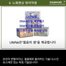 봉봉종합식품