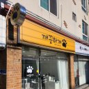 이리삼성초등학교 | 김해강아지 피부케어는 깨끗하개