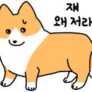 진선보쌈