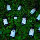 코코목욕 이미지