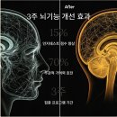 독립 트레이닝 센터 아산 모종점 | 경도인지장애 완전정복: 치매 오기 전 골든타임, 기억력을 지켜라!
