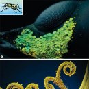 금화금속 이미지