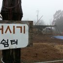 거시기삼계탕
