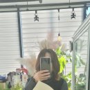 해송메디칼 이미지