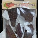 이기석농장 이미지