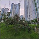 이진세탁소 이미지