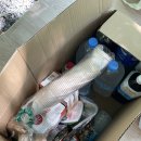 남밀양농협주유소 | 밀양 평상대여 가능한 계곡 추천 밀양 개울캠핑장 평상대여