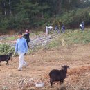 전주 동산 교회 고등부 이미지