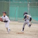 제주남초등학교 이미지