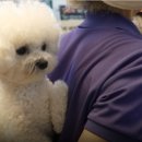 영배농장 이미지