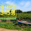 귀농귀촌공인중개사사무소 | 【평택】 안중읍 대반리 과수원 345평 /귀농귀촌 장기투자도 가능한 평당 210만원 ｜토지매매