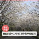 순성 화유옹주 태실 | 함께 떠나는 당진 마을 역사탐방, 화유옹주 태실지