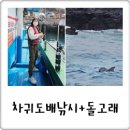 하양낚시 | 제주 이색체험 놀거리 차귀도달래배낚시 후기, 돌고래 보고 낚시 하고