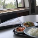 신정든식당