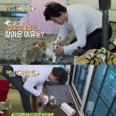 개밥주는 남자 이미지