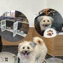 개네집곳간 이미지