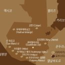 싱싱커피 이미지