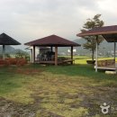 다라미자운영마을 이미지