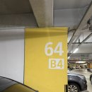 강원특별자치도 부속의원 | 강원랜드 하이원리조트 그랜드테이블 뷔페 런치 후기