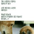 복
