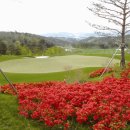 골든헬스클럽 이미지