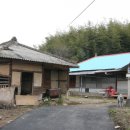 원황룡 이미지