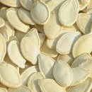 예항맥외과 이미지