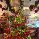 베리코스 이미지