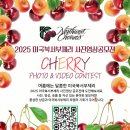 (주)체리센스 | 여름과일 미국 북서부체리 쿠킹클래스 후기와 체리 사진영상공모전소식