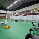 용마체육관 이미지