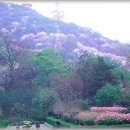 명상기공 이미지