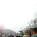 할리카페